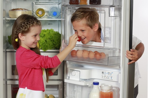 Tại sao tủ lạnh không có hơi lạnh 